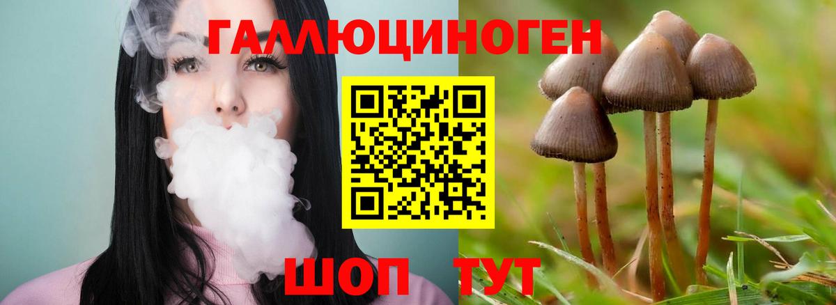 Галлюциногенные грибы мухоморы  Вход с VPN  Каменск-Уральский 