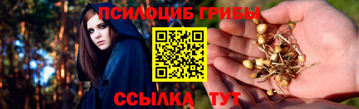 Галлюциногенные грибы мухоморы Каменск-Уральский